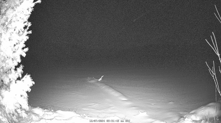 Image from 2024-12-07