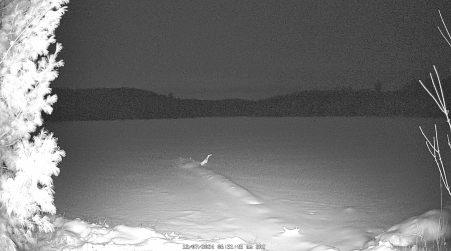 Image from 2024-12-07