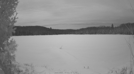 Image from 2024-12-07