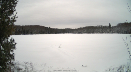 Image from 2024-12-07