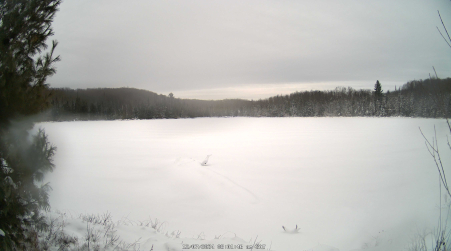 Image from 2024-12-07