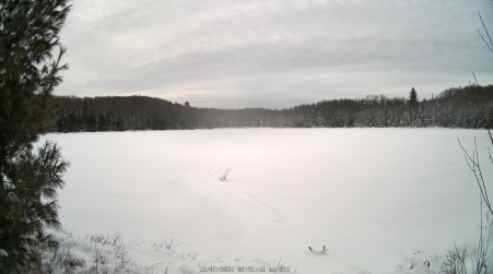 Image from 2024-12-07