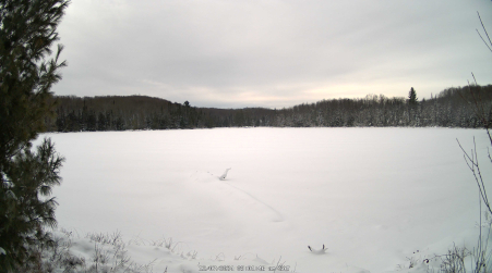 Image from 2024-12-07