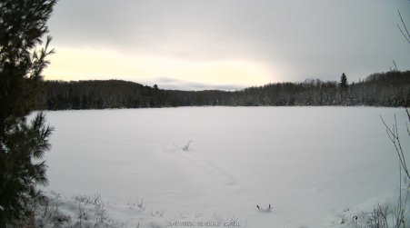 Image from 2024-12-07