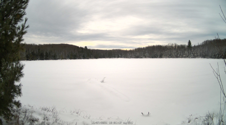 Image from 2024-12-07