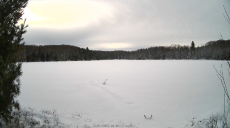 Image from 2024-12-07