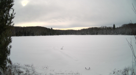 Image from 2024-12-07