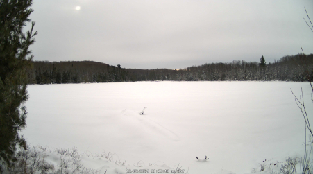Image from 2024-12-07