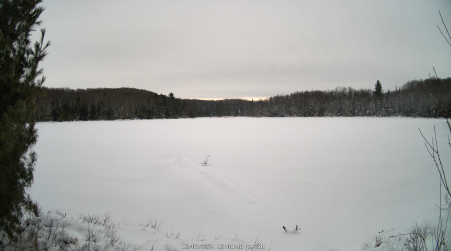 Image from 2024-12-07