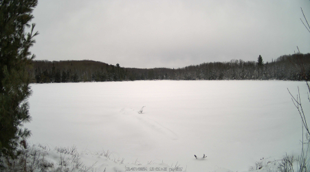 Image from 2024-12-07