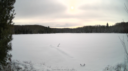 Image from 2024-12-07