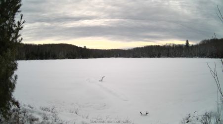 Image from 2024-12-07