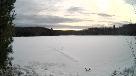 Image from 2024-12-07