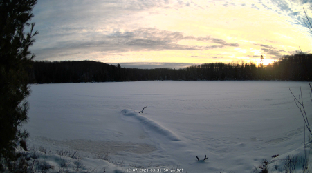 Image from 2024-12-07