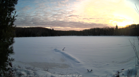 Image from 2024-12-07