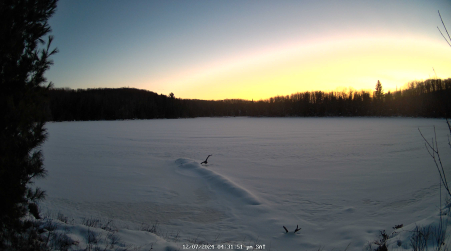Image from 2024-12-07