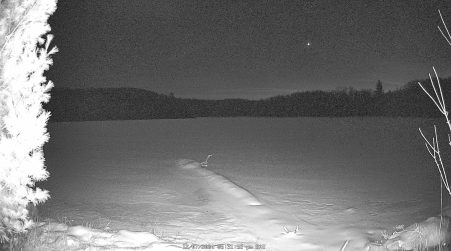 Image from 2024-12-07