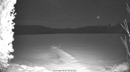 Image from 2024-12-07