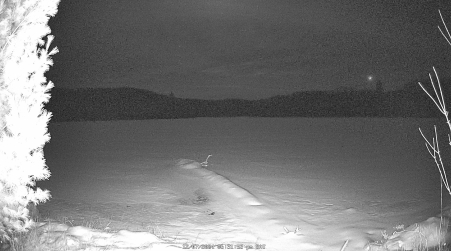 Image from 2024-12-07