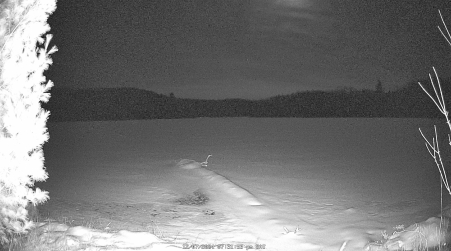 Image from 2024-12-07