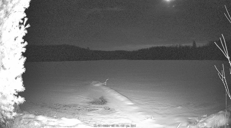 Image from 2024-12-07