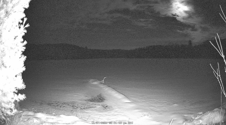 Image from 2024-12-07