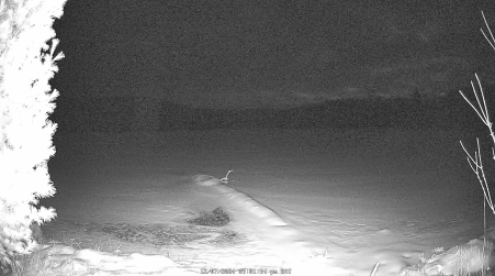 Image from 2024-12-07