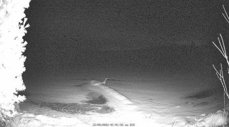 Image from 2024-12-08
