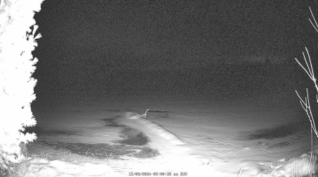 Image from 2024-12-08