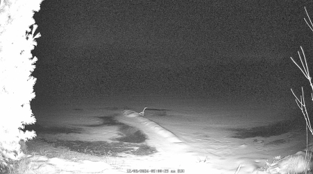 Image from 2024-12-08