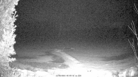 Image from 2024-12-08