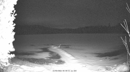 Image from 2024-12-08