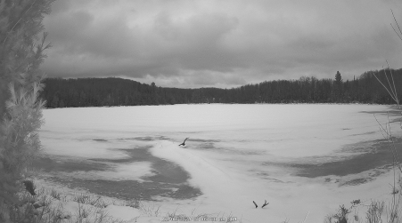 Image from 2024-12-08