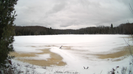 Image from 2024-12-08