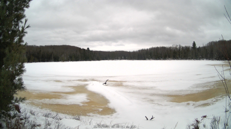 Image from 2024-12-08