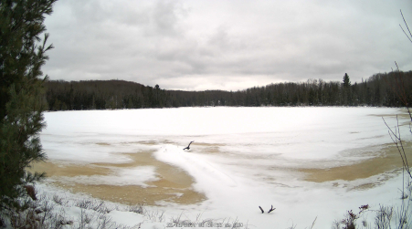 Image from 2024-12-08