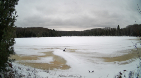 Image from 2024-12-08