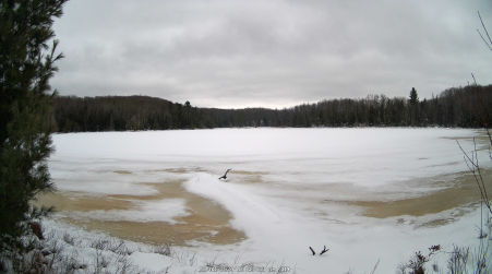 Image from 2024-12-08