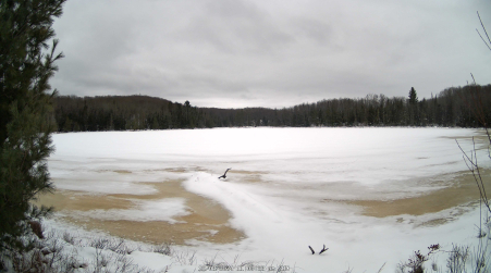 Image from 2024-12-08