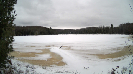 Image from 2024-12-08