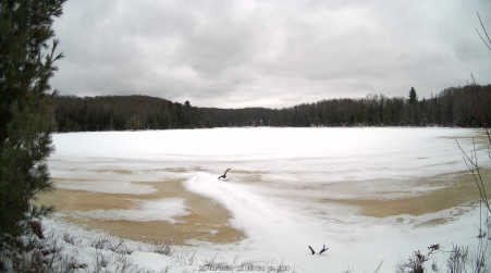 Image from 2024-12-08