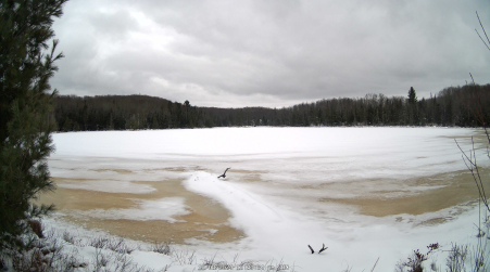 Image from 2024-12-08