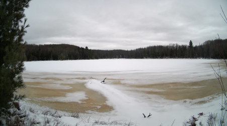 Image from 2024-12-08