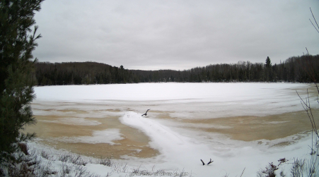 Image from 2024-12-08
