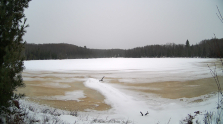 Image from 2024-12-08