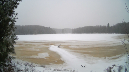 Image from 2024-12-08