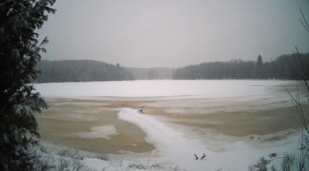 Image from 2024-12-08