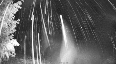 Image from 2024-12-08