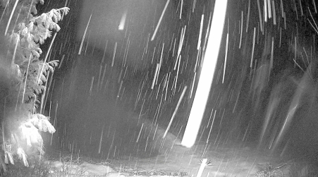 Image from 2024-12-08