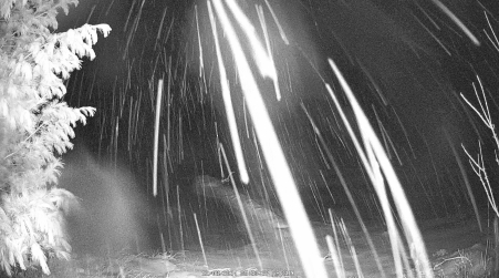 Image from 2024-12-08